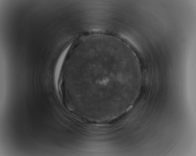 X0000093230692200710101404