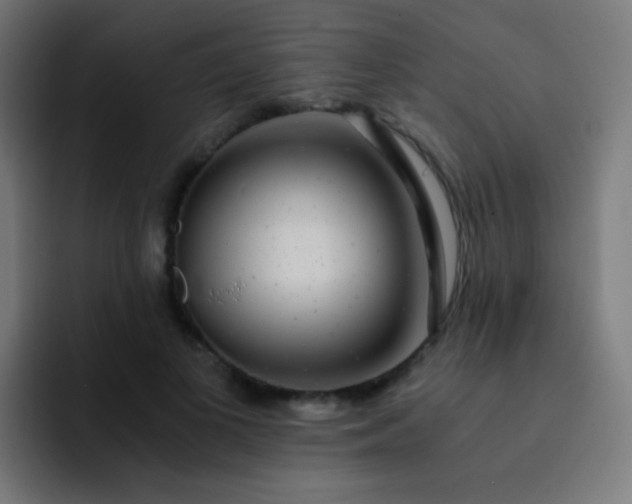 X0000093230693200710101404