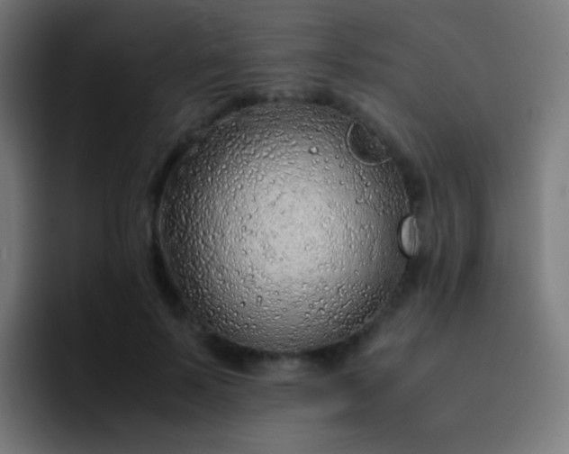 X0000093230695200710101404