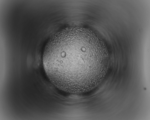 X0000093230699200710101404