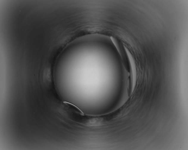 X0000093230700200710101404