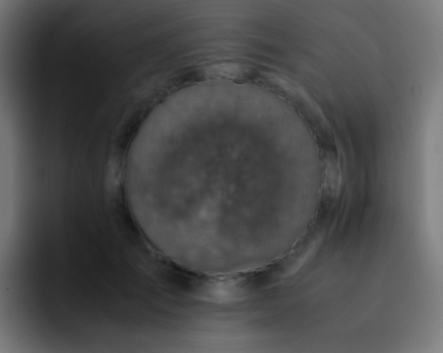 X0000093230701200710101404