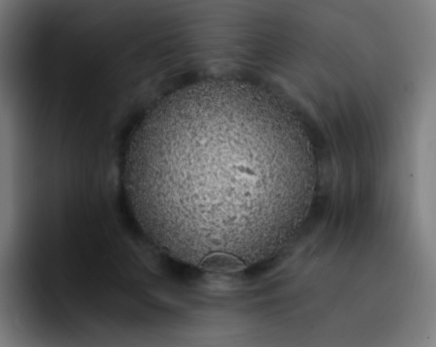 X0000093230703200710101404