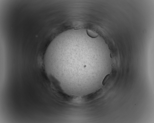 X0000093230705200710101404