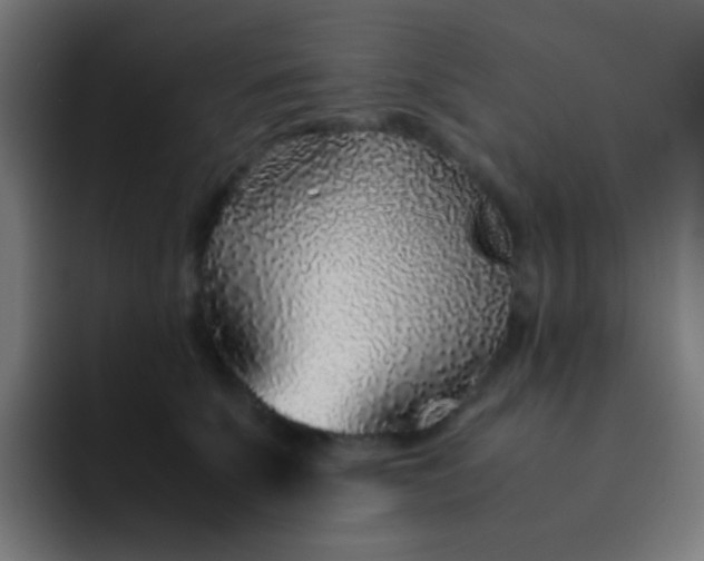 X0000093230707200710101404