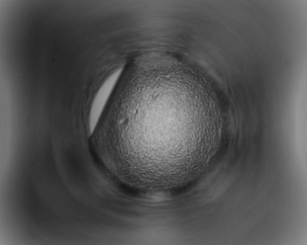 X0000093230711200710101404