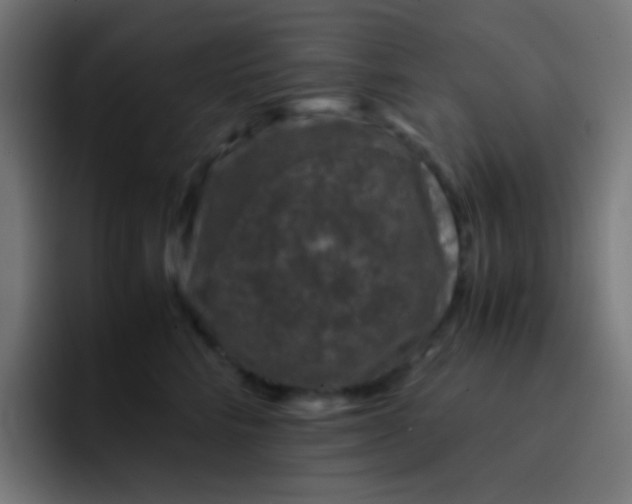 X0000093230712200710101404