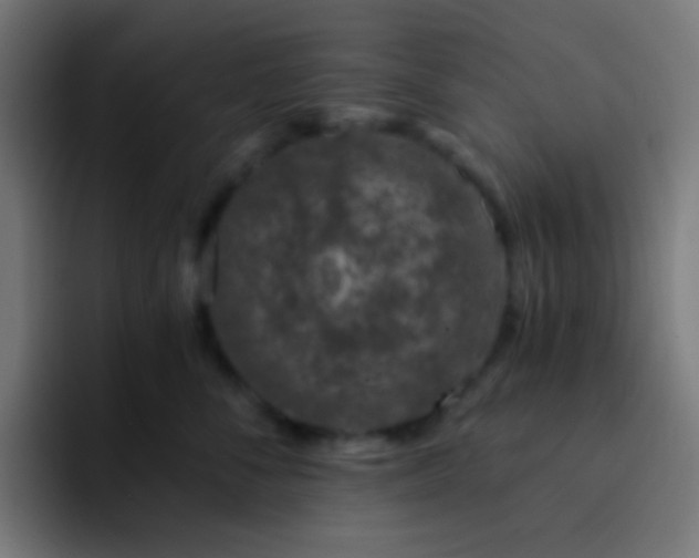 X0000093230716200710101404