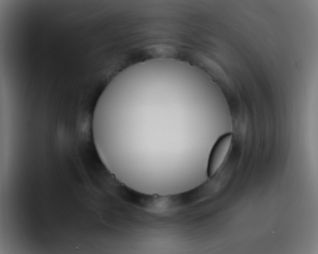 X0000093230717200710101404