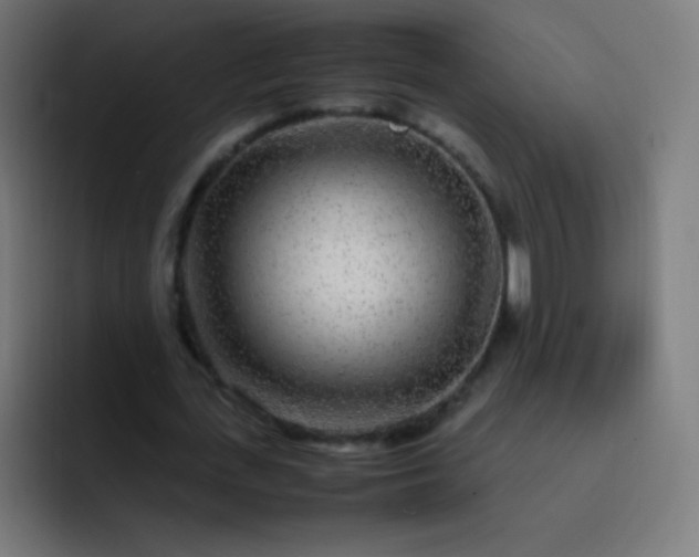 X0000093230723200710101403