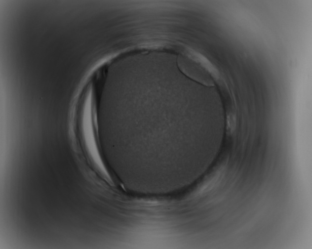 X0000093230724200710101403