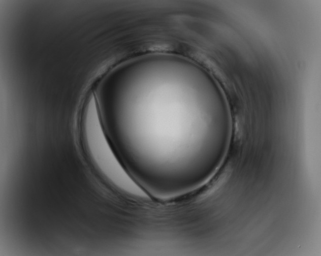 X0000093230725200710101403