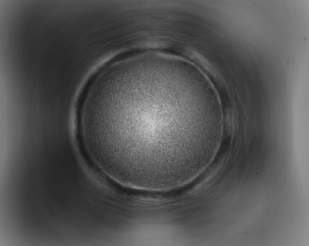 X0000093230726200710101403