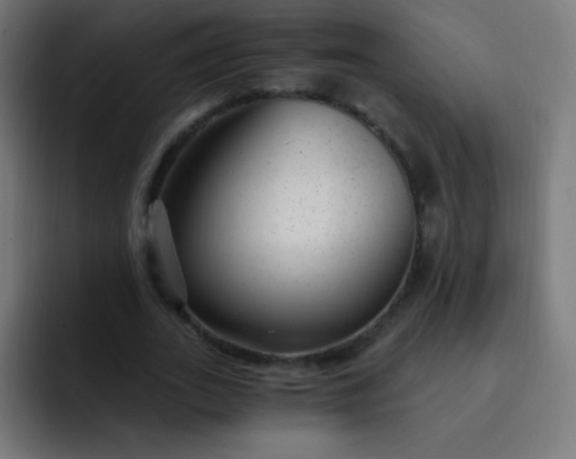 X0000093230727200710101403