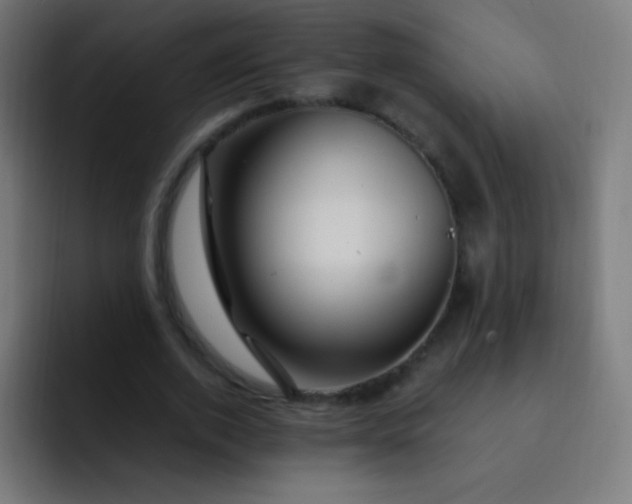 X0000093230728200710101403