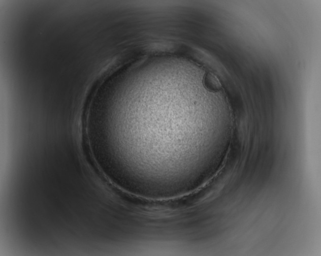 X0000093230729200710101403