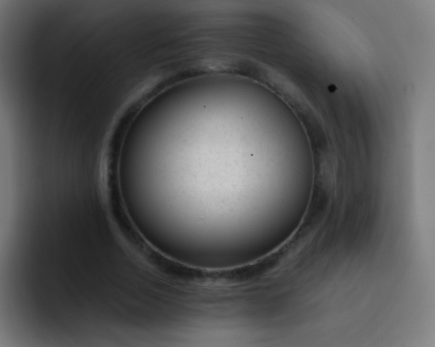 X0000093230730200710101403