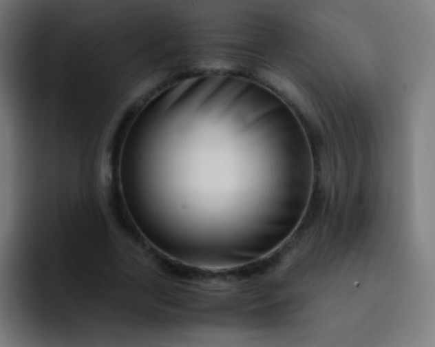 X0000093230731200710101403