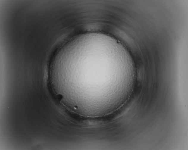 X0000093230733200710101403