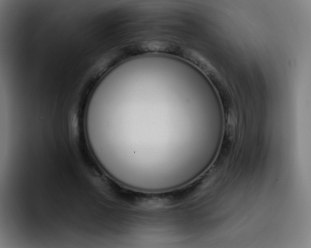 X0000093230734200710101403