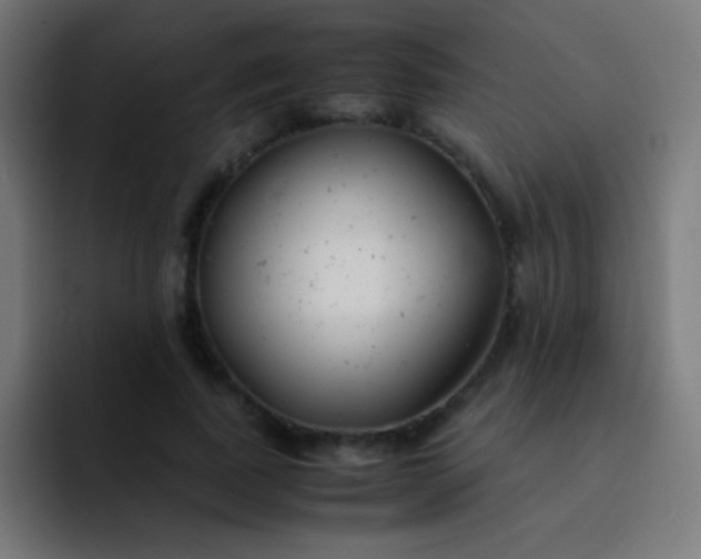 X0000093230739200710101403