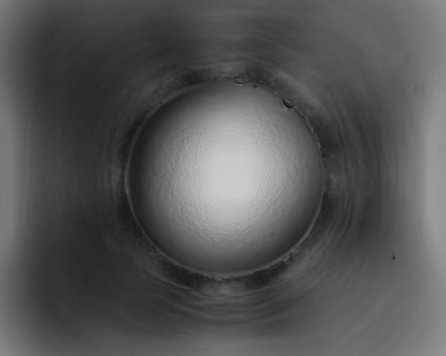 X0000093230745200710101403