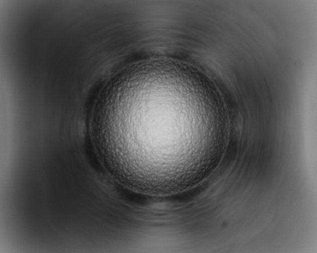 X0000093230746200710101403