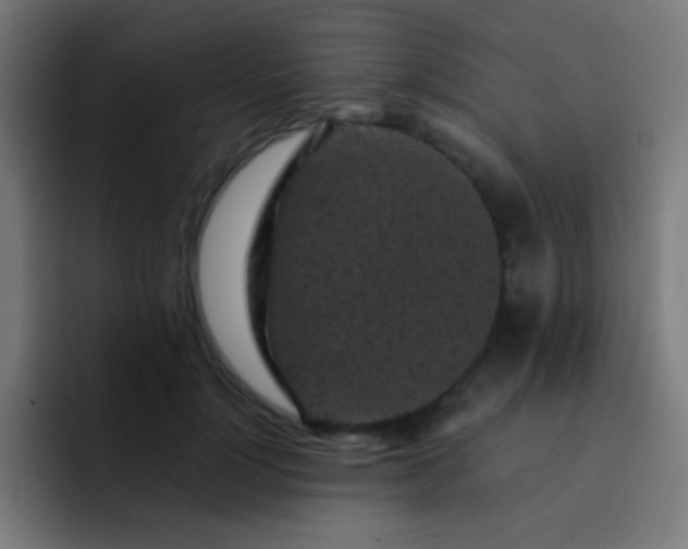 X0000093230748200710101403