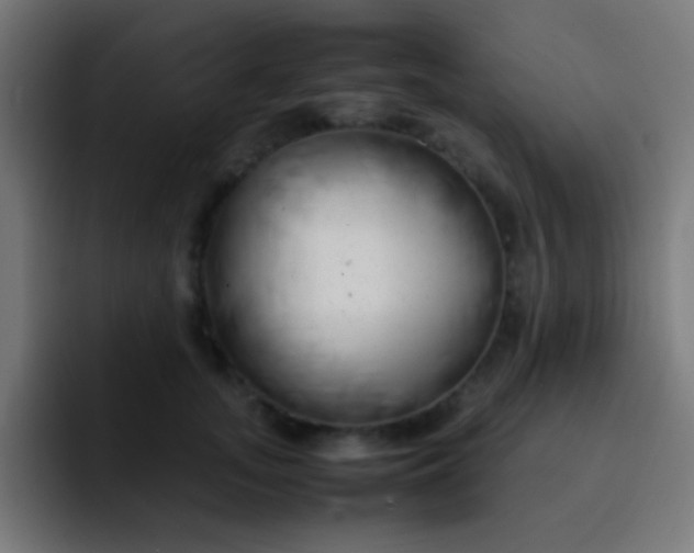 X0000093230755200710101403