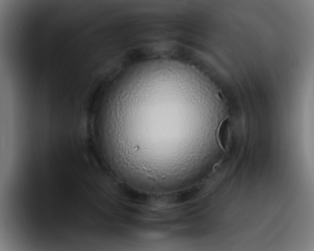 X0000093230757200710101403