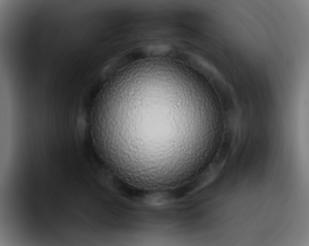 X0000093230761200710101403