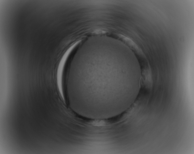 X0000093230762200710101403