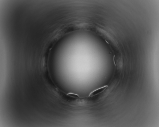 X0000093230764200710101403