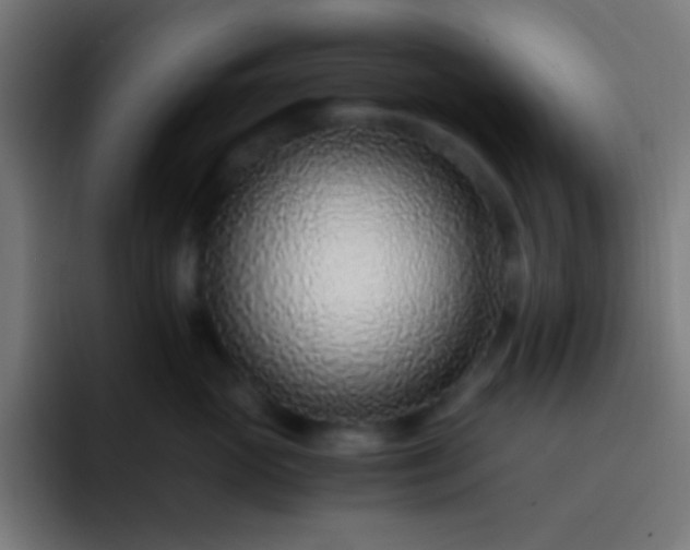 X0000093230765200710101403