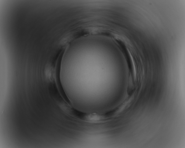 X0000093230766200710101403