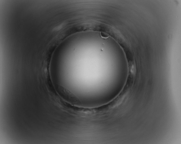 X0000093230771200710101403