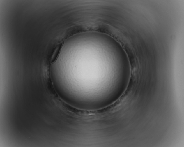 X0000093230772200710101403