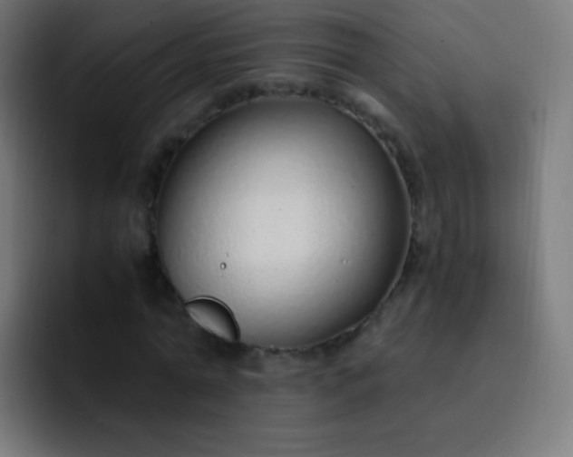 X0000093230774200710101403