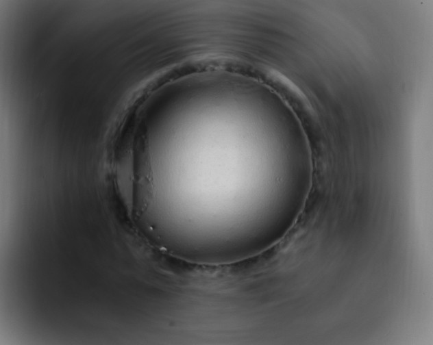 X0000093230775200710101403