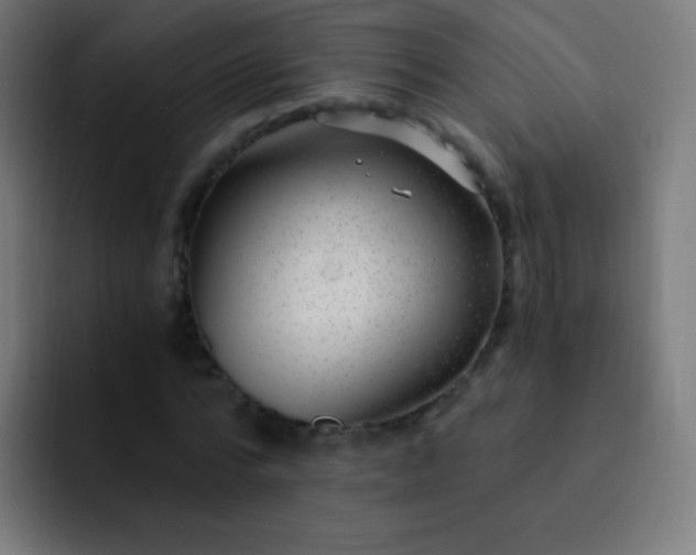 X0000093230776200710101403