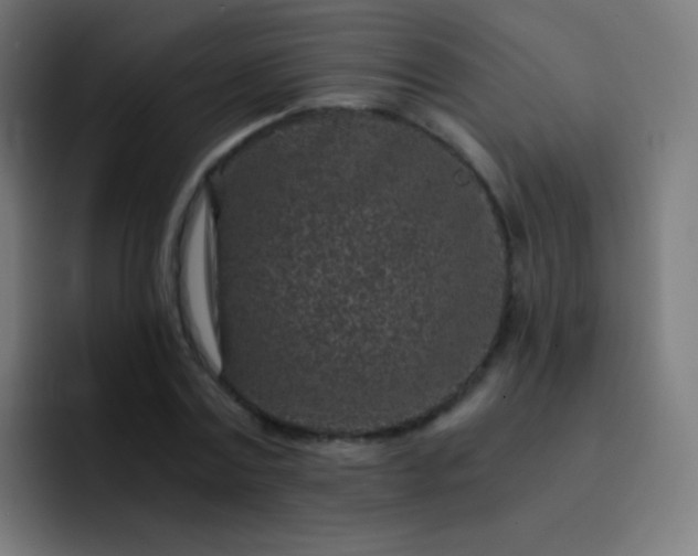 X0000093230779200710101403