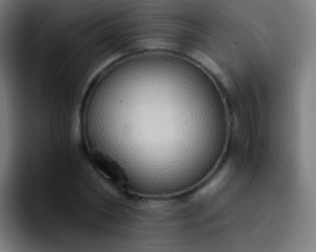 X0000093230782200710101403