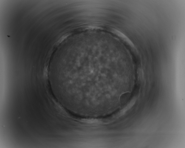 X0000093230785200710101403