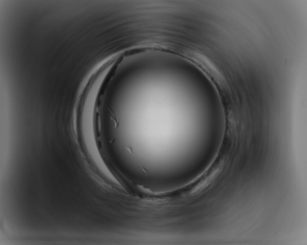 X0000093230788200710101403