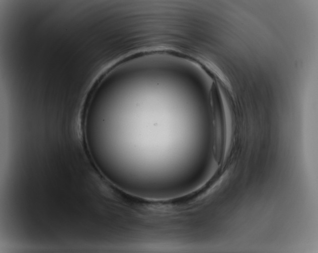 X0000093230789200710101403