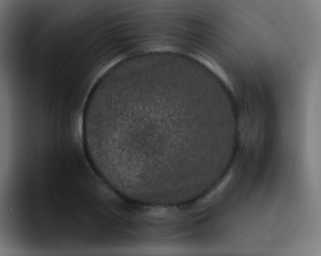 X0000093230790200710101403