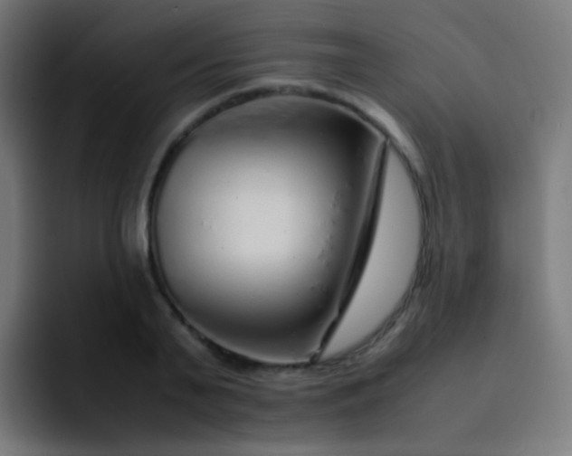 X0000093230791200710101403