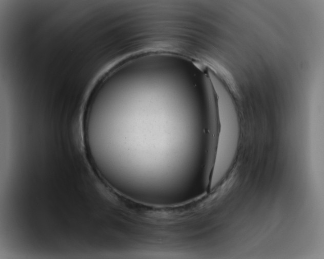 X0000093230792200710101403