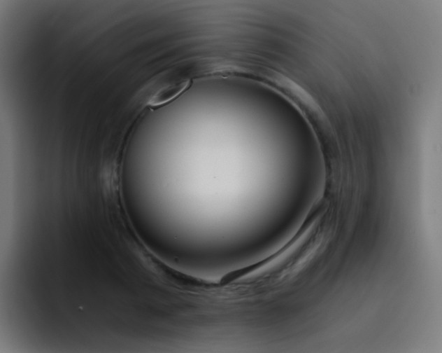 X0000093230793200710101403