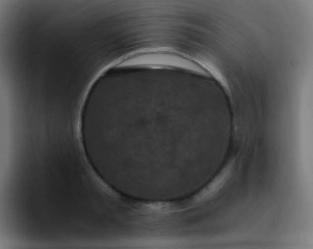 X0000093230797200710101403